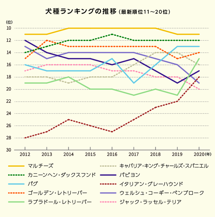 最新版 人気犬種ランキング 発表 Top30を一挙紹介 ペット保険のご契約は アニコム損保