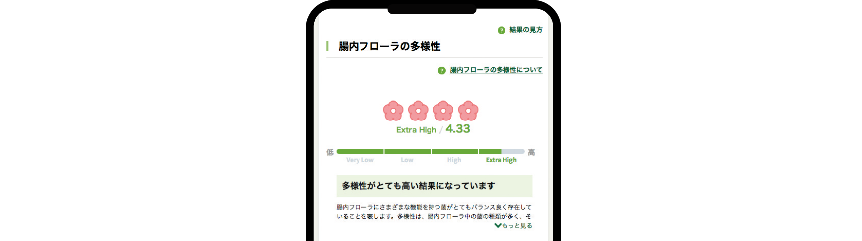 腸内フローラの多様性イメージ