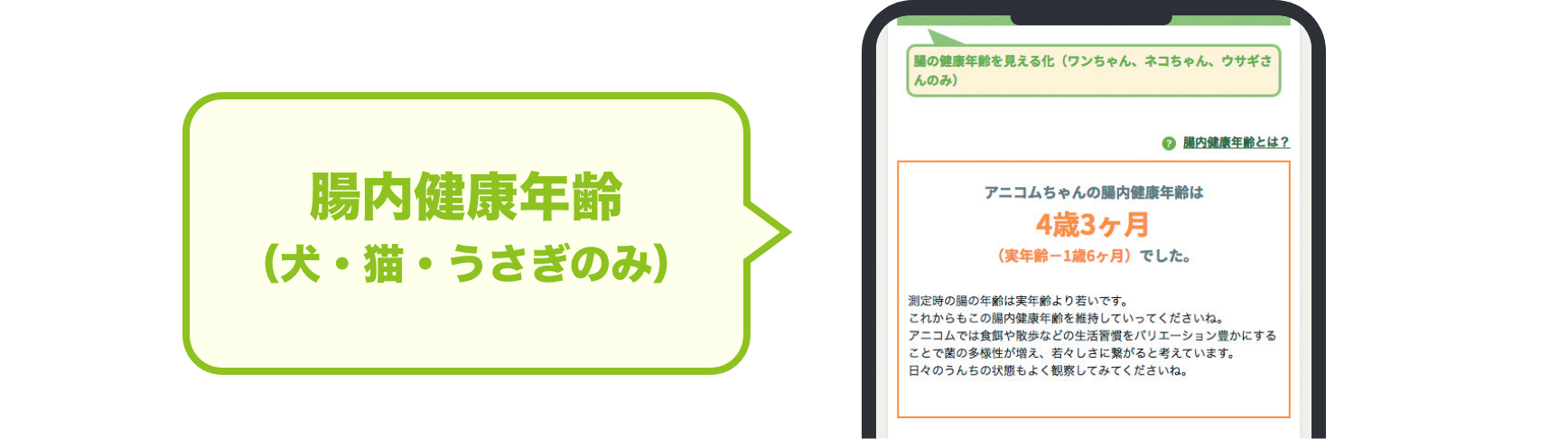 腸内健康年齢（犬・猫・うさぎのみ）