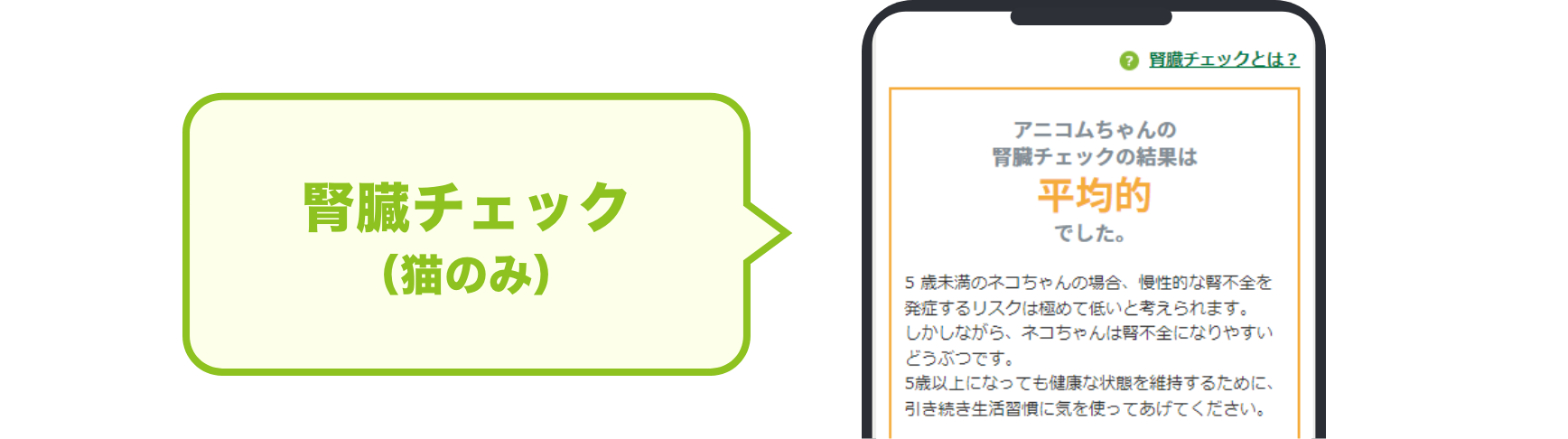腎臓チェック（猫のみ）