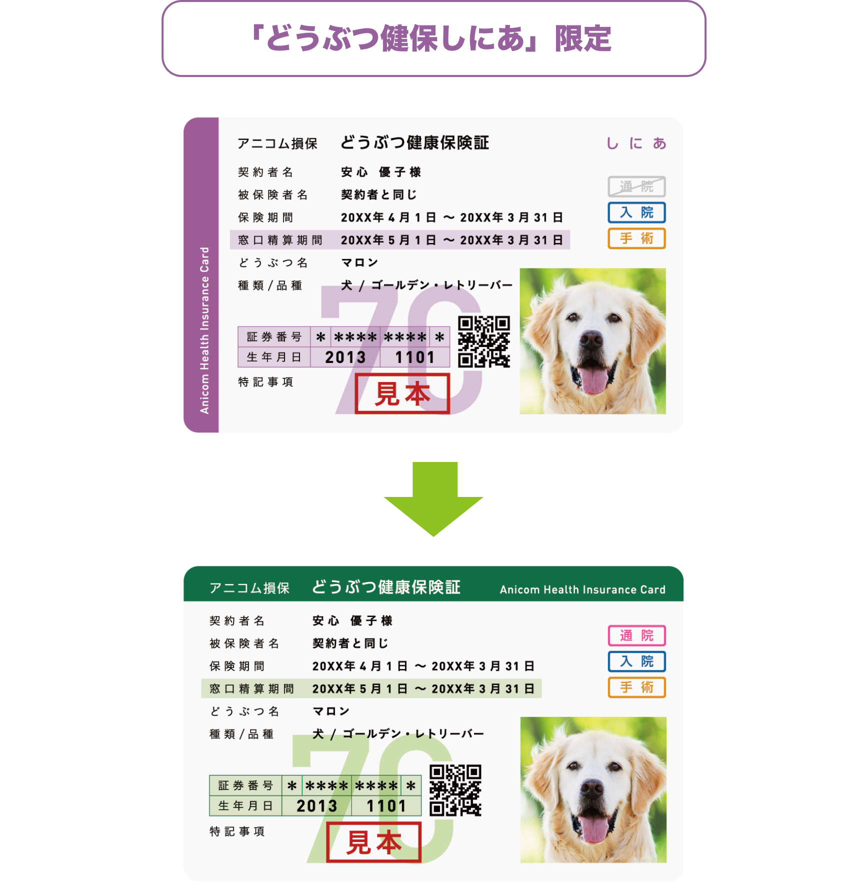 どうぶつ健保しにあ限定