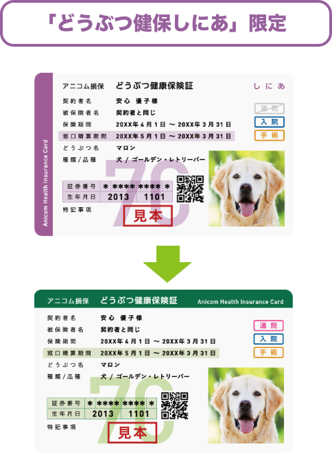 どうぶつ健保しにあ限定