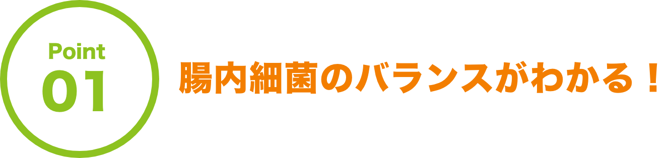 Point01 腸内細菌のバランスがわかる！