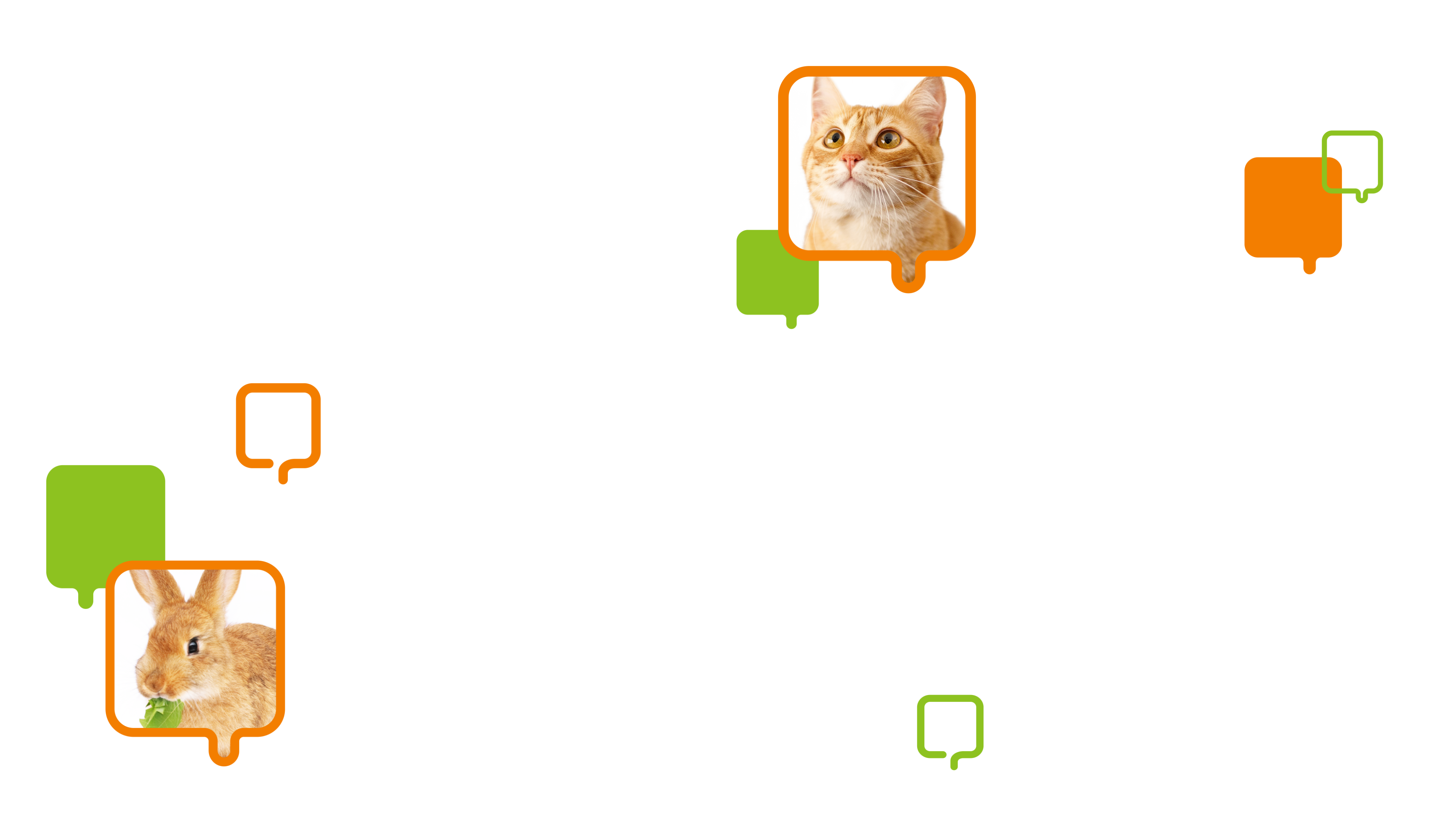 ねこ、うさぎ、犬