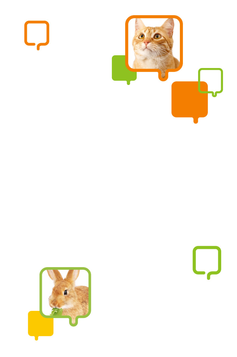 ねこ、うさぎ