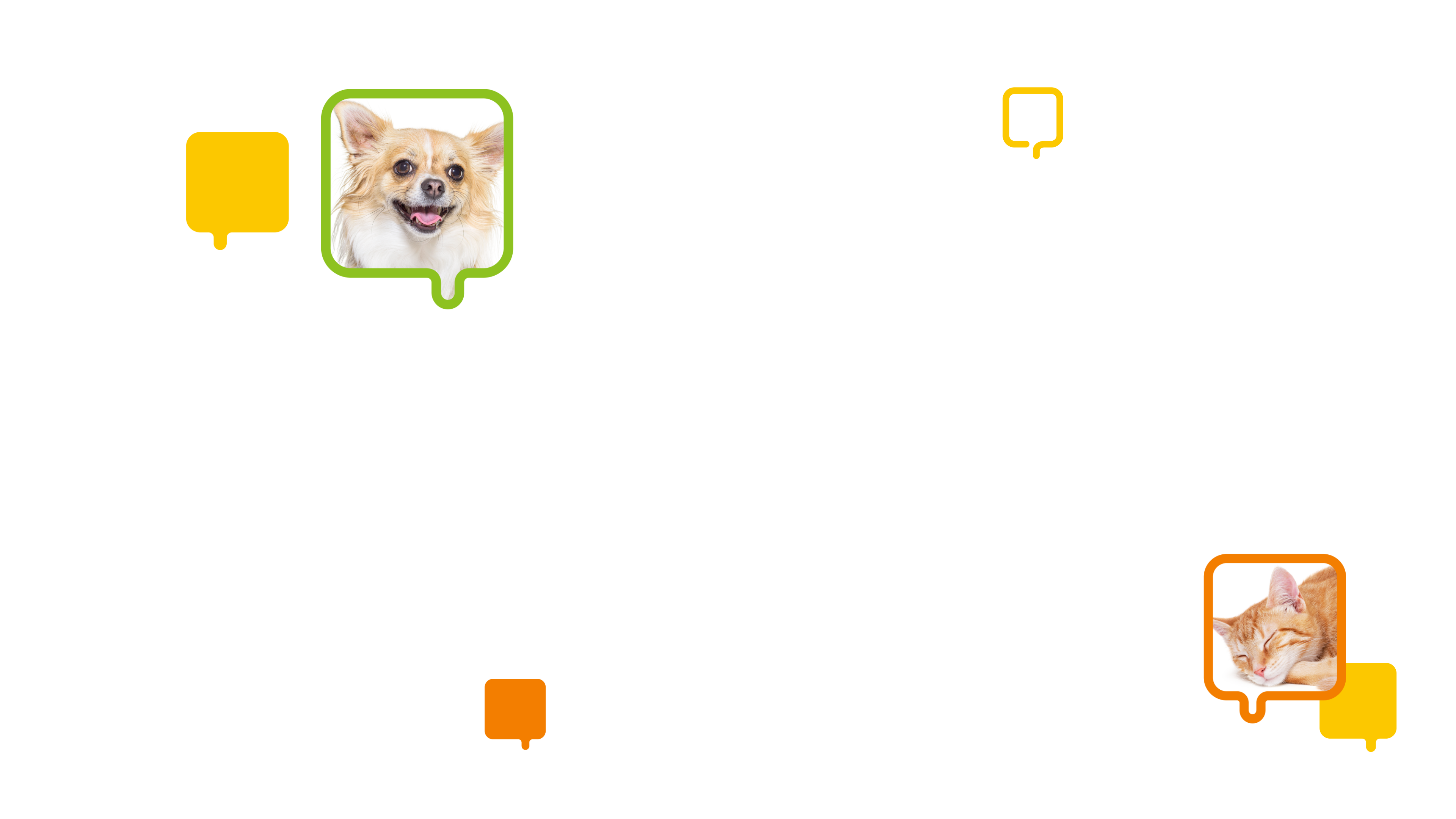 ねこ、犬