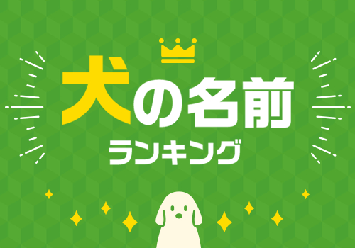 犬の名前ランキング21 ペット保険のご契約は アニコム損保