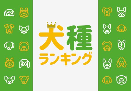 犬種ランキング