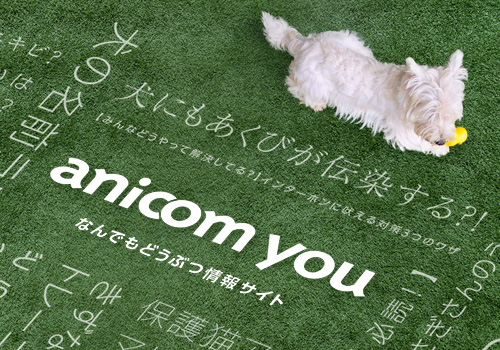 anicom you