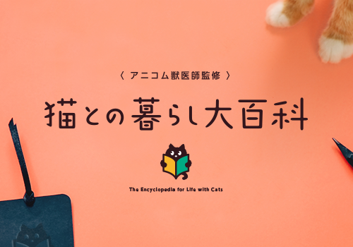 猫との暮らし大百科