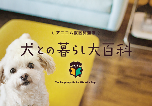 犬との暮らし大百科