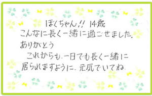 メッセージ