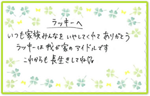 メッセージ