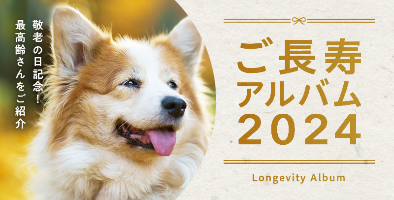 ご長寿アルバム2024 敬老の日記念!最高齢さんをご紹介。