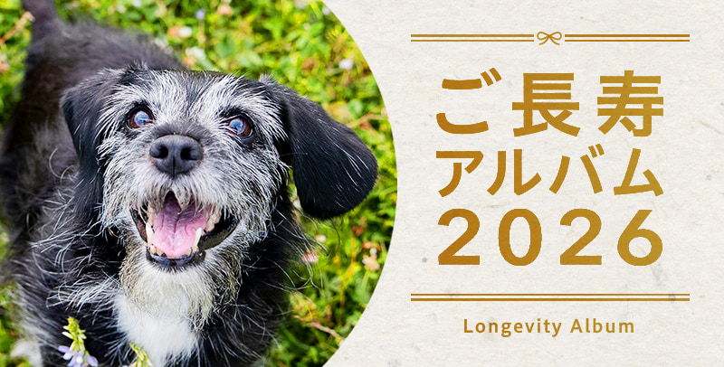 ご長寿アルバム2026