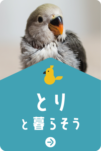 とりと暮らそう