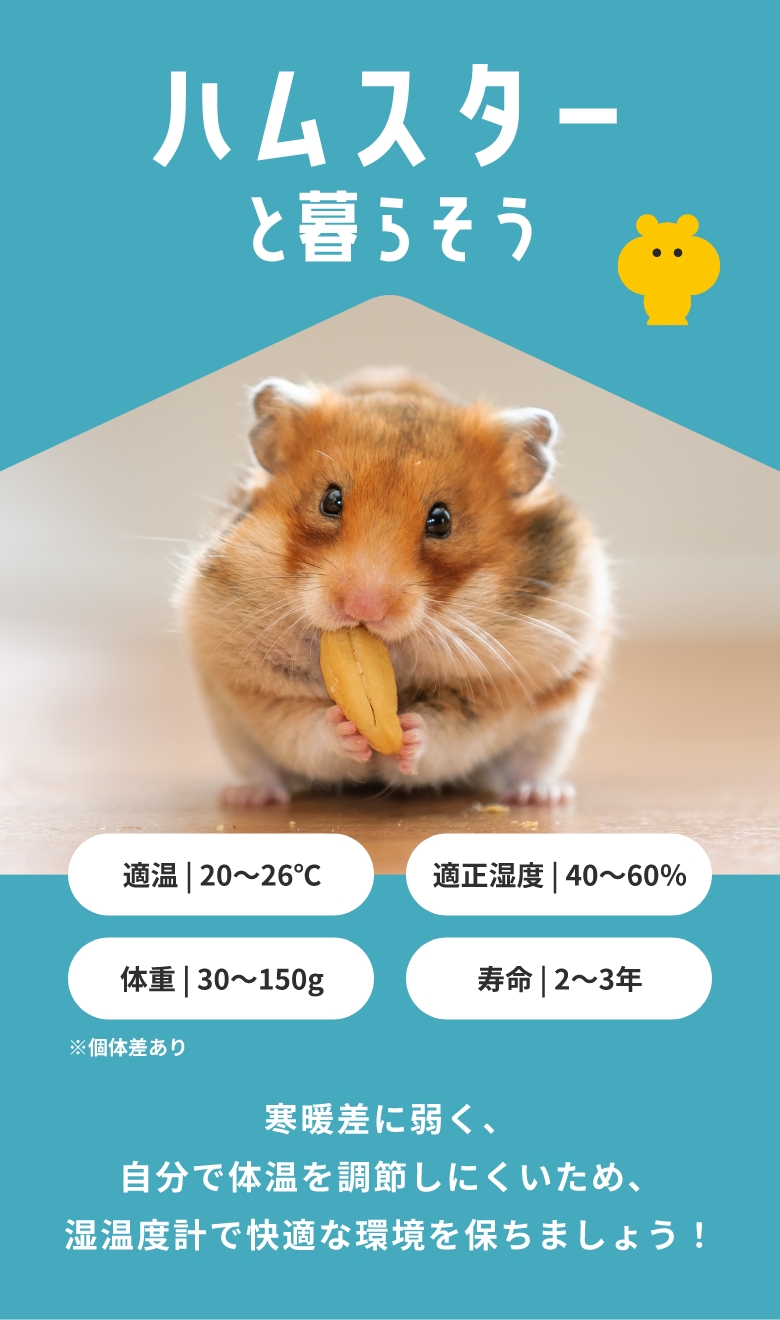 ハムスターと暮らそう