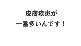 皮膚疾患が一番多いんです！