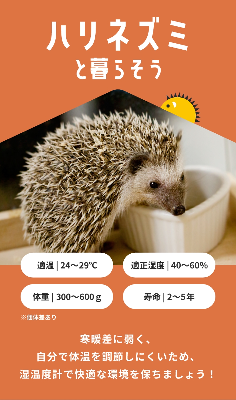 ハリネズミと暮らそう