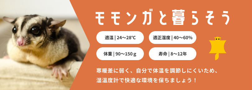 モモンガと暮らそう