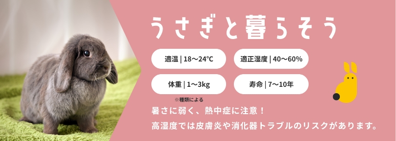 うさぎと暮らそう