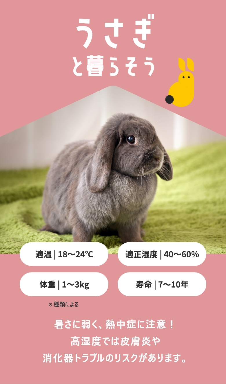 うさぎと暮らそう