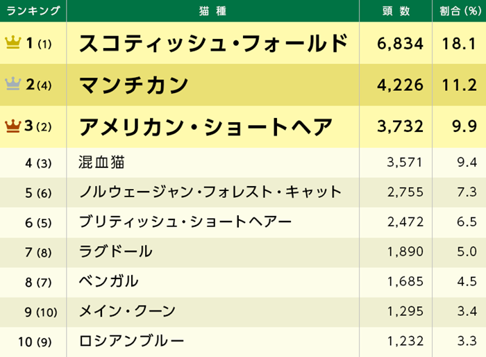 令和最新版 猫の名前ランキング と 人気猫種ランキング を一挙紹介 アニコム損害保険株式会社