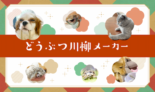どうぶつ川柳メーカー
