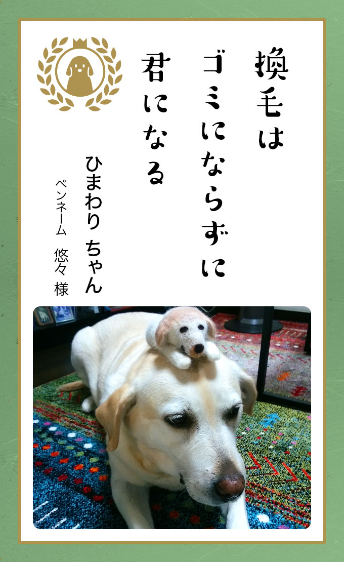 第六回どうぶつ川柳 ペット保険のご契約は アニコム損保 第六回どうぶつ川柳 ペット保険のご契約は アニコム損保
