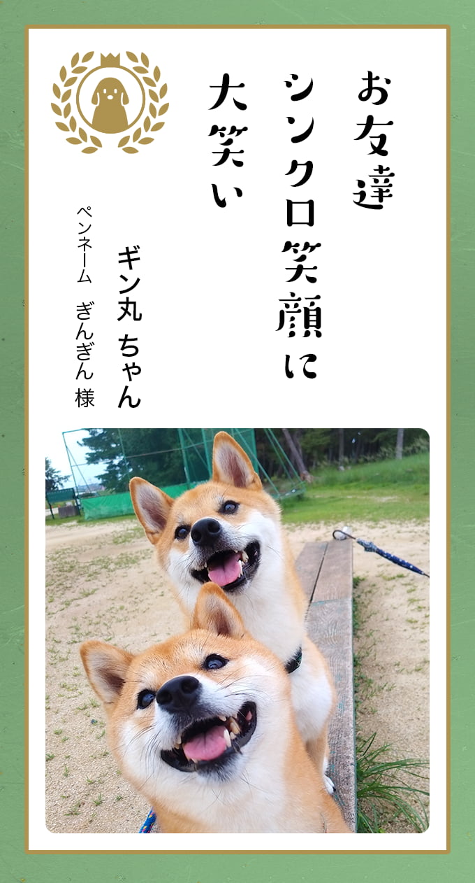 葉月らん　ポロリ 