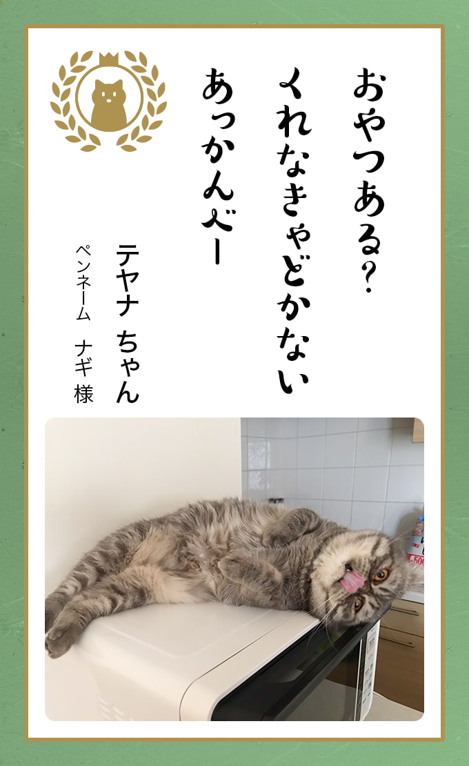 すけまろ様カピバラおでんちくわネコ