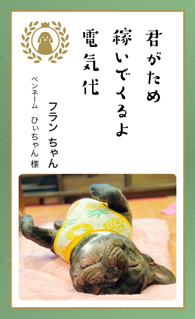 第七回どうぶつ川柳 ペット保険のご契約は アニコム損保