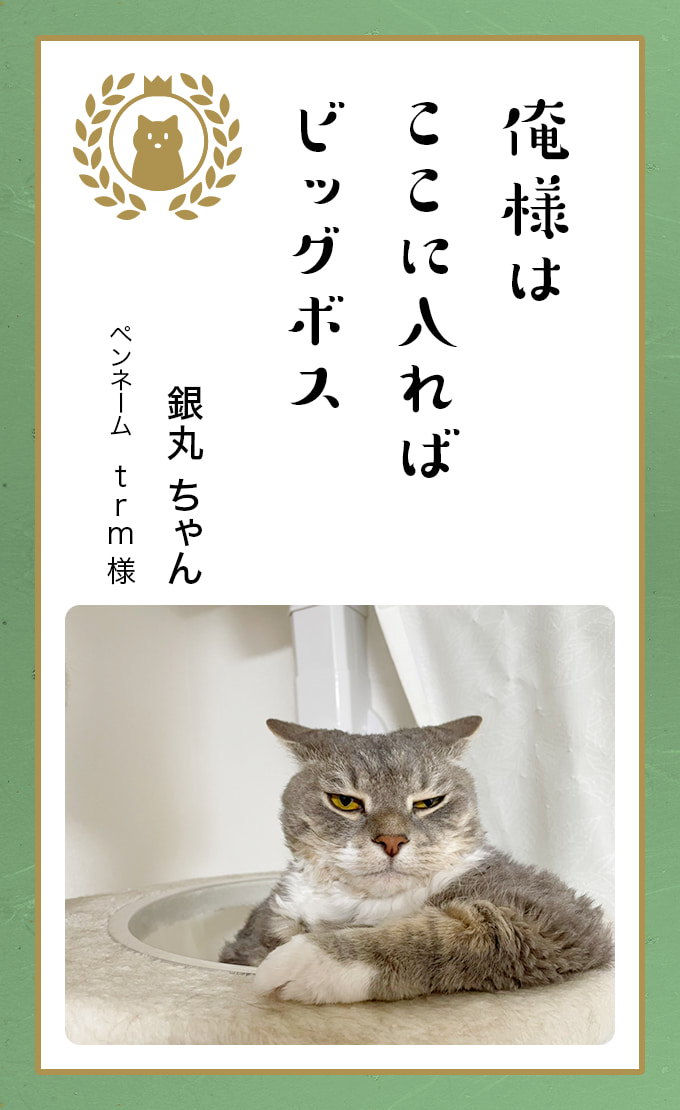 第七回どうぶつ川柳 │ ペット保険のご契約はアニコム損保