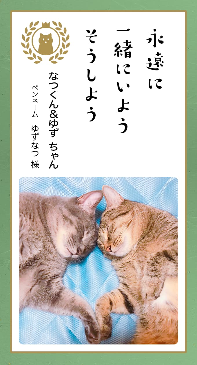 おすわり猫ちゃんのフルーツパフェ とらねこ 残酷