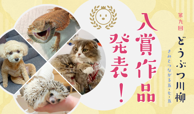 第九回どうぶつ川柳入賞作品発表