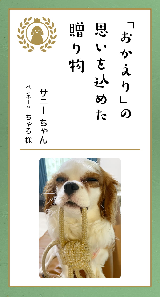jun tan専用 つぶより野菜 30本入✖️4箱 編め