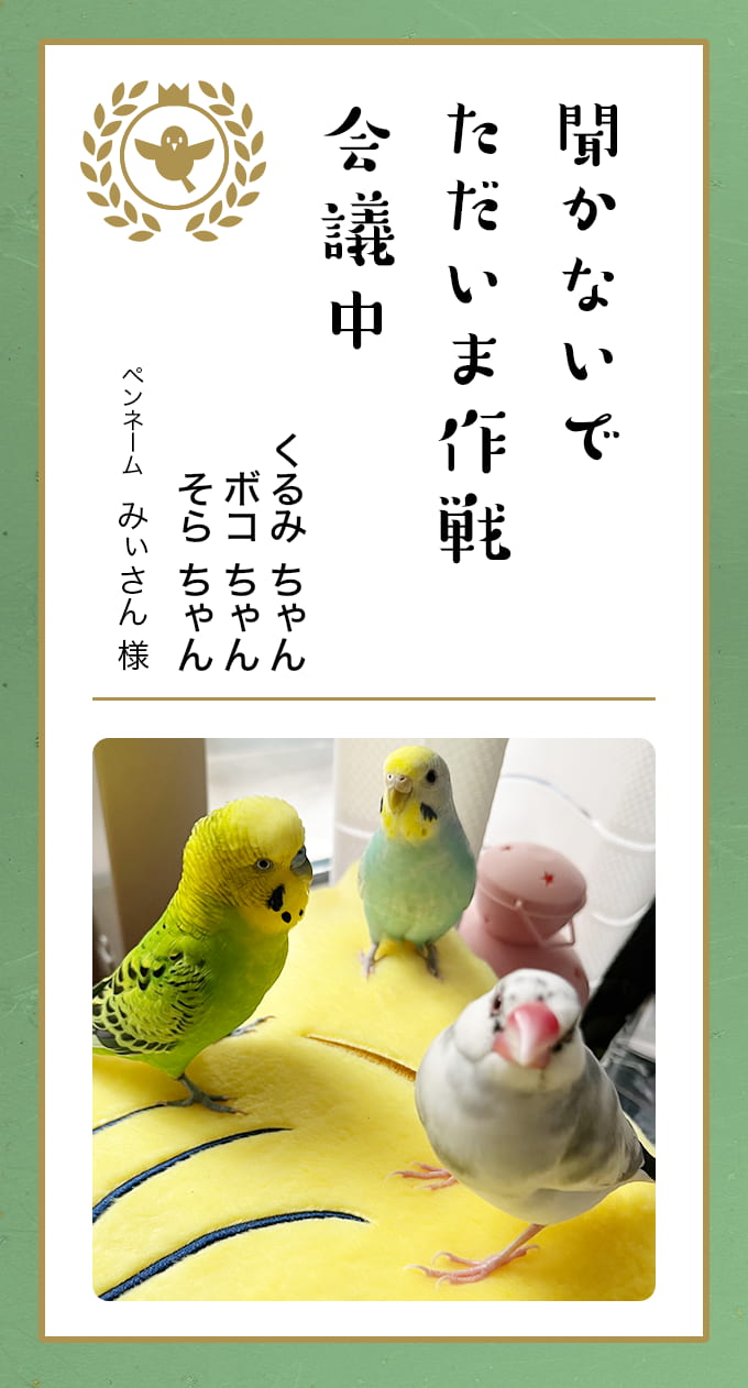 葉月らん　ポロリ 