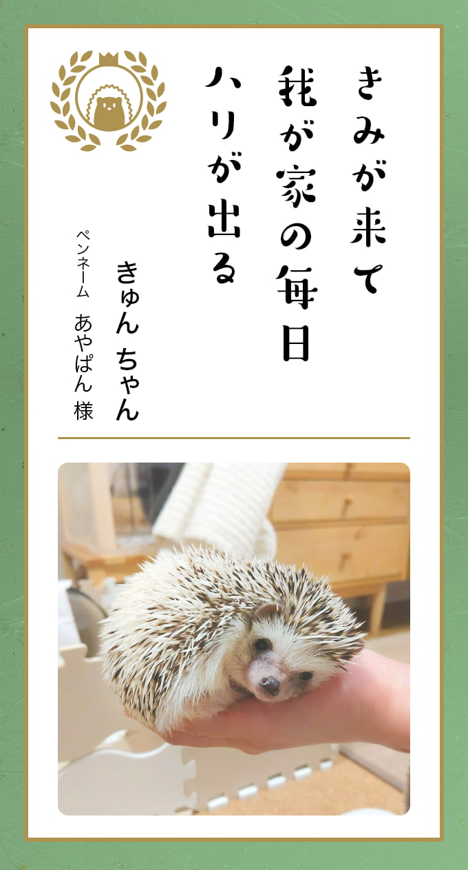 ゆきぽよ　文字コラ 