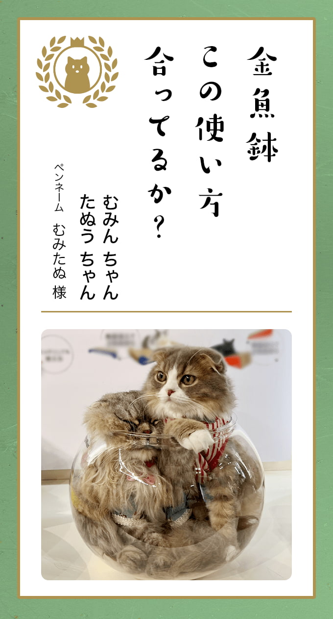葉月らん　ポロリ 第九回どうぶつ川柳 │ ペット保険のご契約は【アニコム損保】