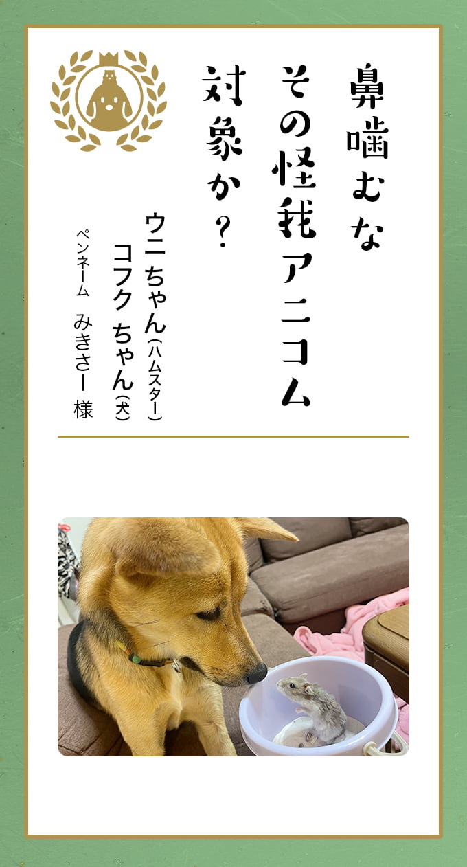 葉月らん　ポロリ 