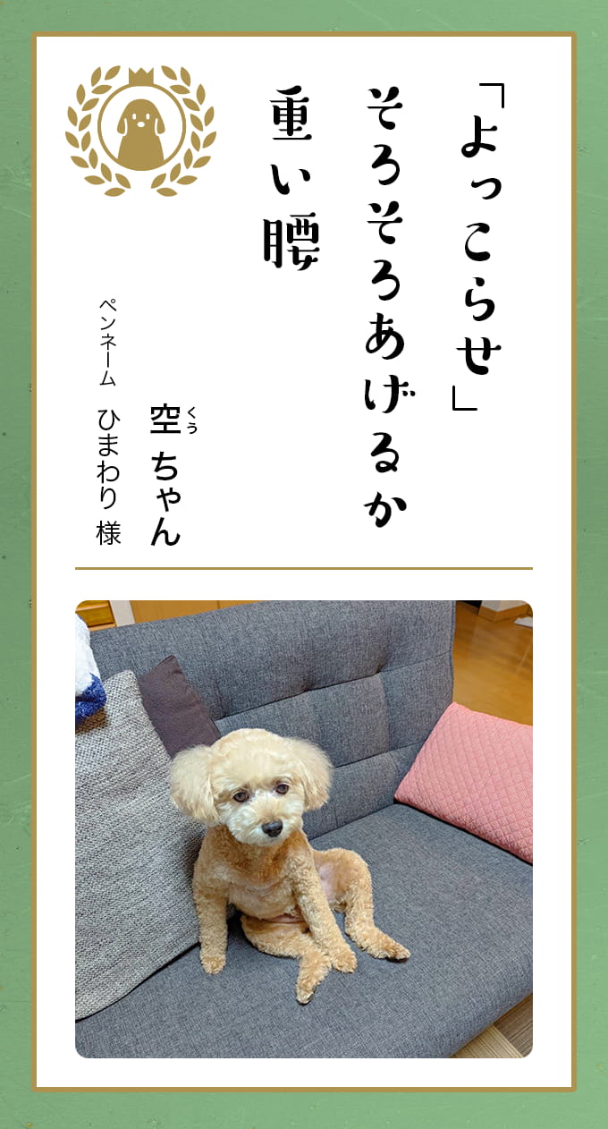 モコモコフェレットくん☆ちっはー様☆ かぶり