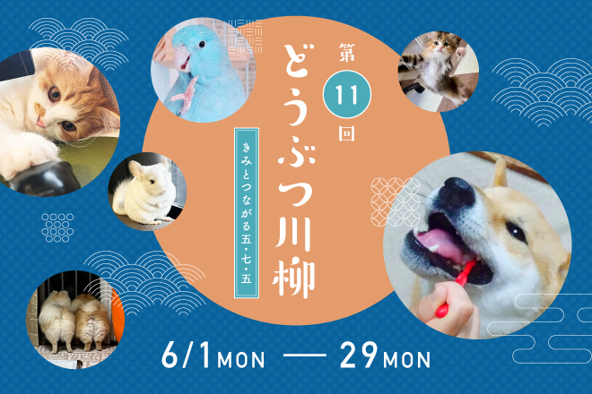 第11回どうぶつ川柳 きみとつながる五・七・五