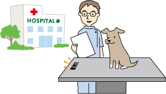 大型犬の体重測定