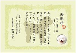 「無事故の日」表彰状 トイ・プードル