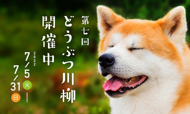 第七回どうぶつ川柳開催中