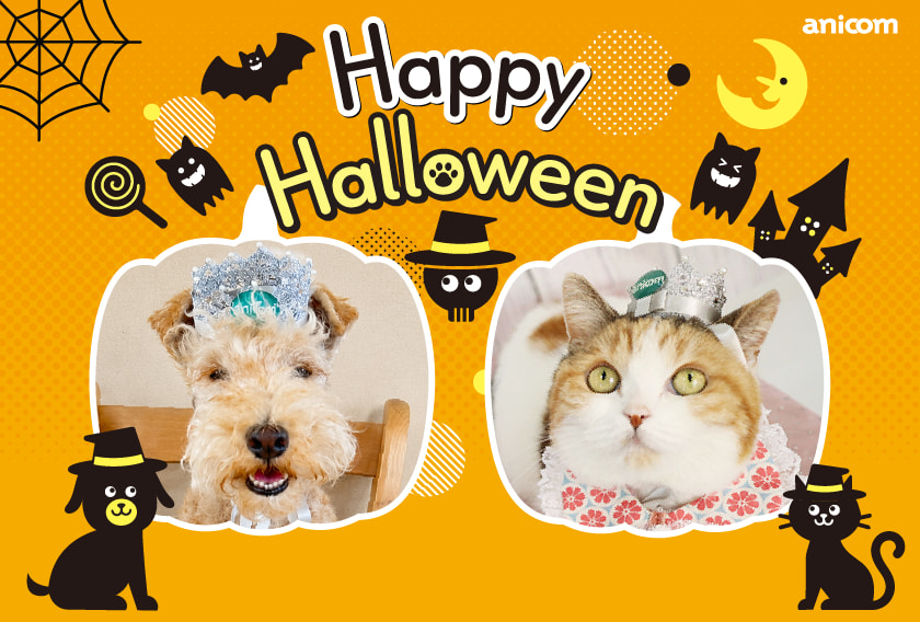 ハロウィンカード