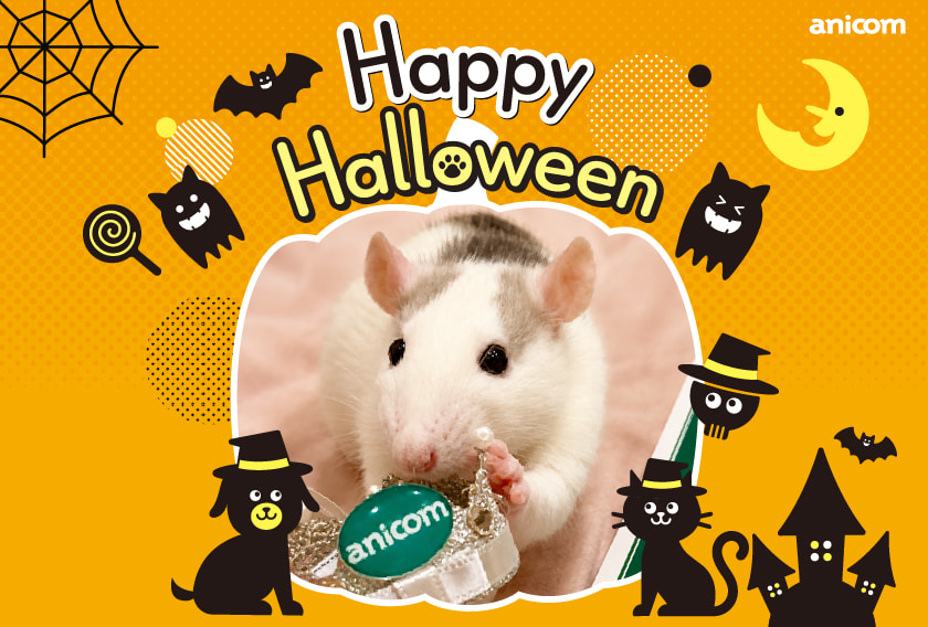ハロウィンカード