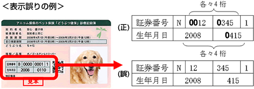 表示誤りの例