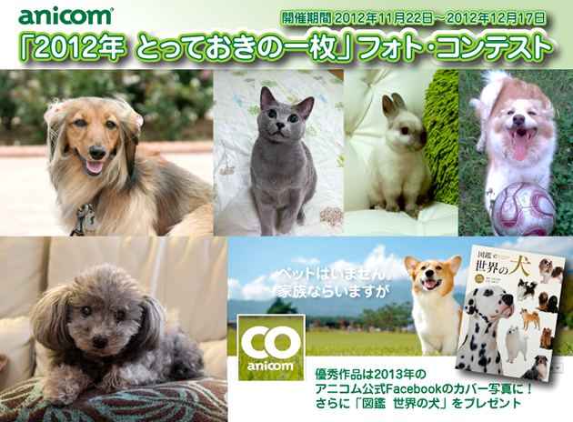 アニコムグループ公式Facebook フォト・コンテスト開催のお知らせ～2012年 とっておきの一枚～大募集