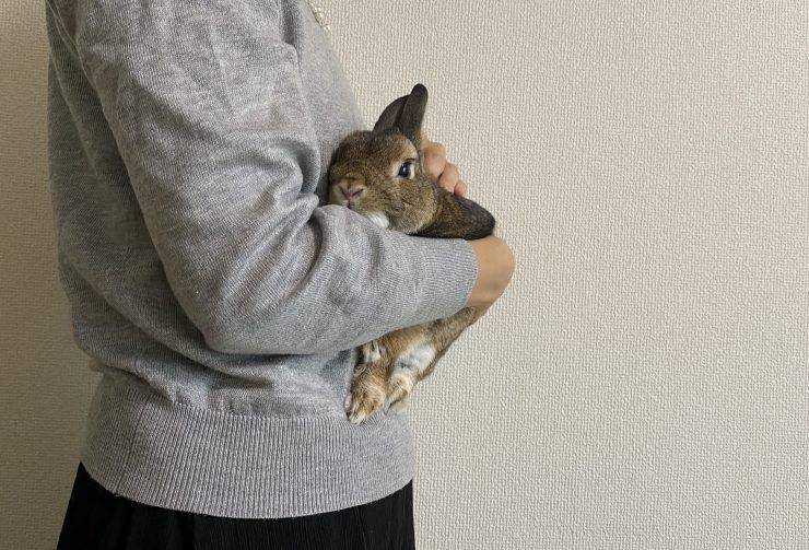 うさぎは抱っこが好き 抱っこのポイントや気を付けるべきことは うさぎとの暮らし大百科